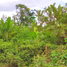  Terreno (Parcela) en venta en Lapu-Lapu City, Central Visayas, Lapu-Lapu City, Cebu, Central Visayas, Filipinas