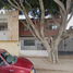 3 Habitación Villa en venta en Leon, Guanajuato, Leon, Guanajuato