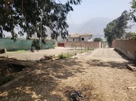  Land for sale in Pachacamac, Lima, Pachacamac