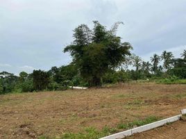  Land for sale in Magallanes, Cavite, Magallanes