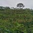  Villa for sale in Filandia, Quindio, Filandia