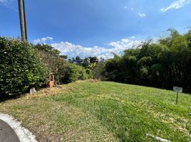  Land for sale in Pereira, Risaralda, Pereira