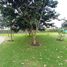  Terreno (Parcela) en venta en Cumbaya, Pichincha, Cumbaya