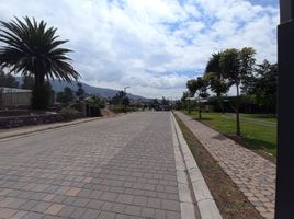 Terreno (Parcela) en venta en Cumbaya, Pichincha, Cumbaya