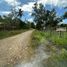  Land for sale in Narra, Palawan, Narra