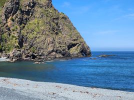  Terrain for sale in Llanquihue, Los Lagos, Los Muermos, Llanquihue