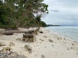  Grundstück zu verkaufen in Dauis, Central Visayas, Dauis