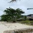  Grundstück zu verkaufen in Dauis, Central Visayas, Dauis