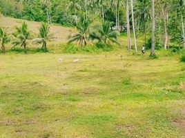  Terreno (Parcela) en venta en Cebu City, Central Visayas, Cebu City, Cebu, Central Visayas