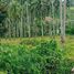  Terreno (Parcela) en venta en Cebu City, Central Visayas, Cebu City, Cebu, Central Visayas