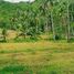  Terreno (Parcela) en venta en Cebu City, Central Visayas, Cebu City, Cebu, Central Visayas
