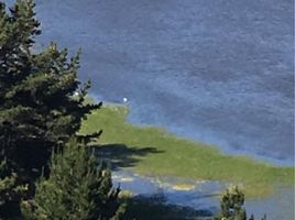  Terreno (Parcela) en venta en Cardenal Caro, Libertador General Bernardo O'Higgins, Pichilemu, Cardenal Caro