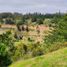  Terreno (Parcela) en venta en Cardenal Caro, Libertador General Bernardo O'Higgins, Pichilemu, Cardenal Caro