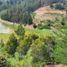  Terreno (Parcela) en venta en Cardenal Caro, Libertador General Bernardo O'Higgins, Pichilemu, Cardenal Caro