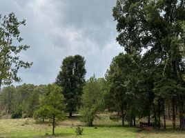  Terreno (Parcela) en venta en Atemajac De Brizuela, Jalisco, Atemajac De Brizuela