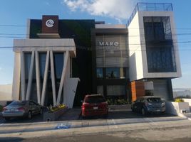 1,037 平米 Office for rent in FazWaz.cn, Queretaro, Queretaro, 墨西哥