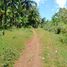  Land for sale in Bantayan, Central Visayas, Bantayan