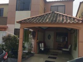 3 Bedroom House for sale in Daule, Guayas, Daule, Daule