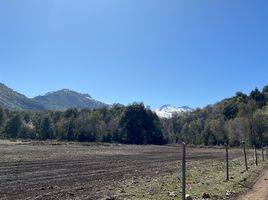  Terreno (Parcela) en venta en Chile, Pinto, Diguillín, Ñuble, Chile