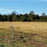  Terreno (Parcela) en venta en Araucanía, Villarrica, Cautín, Araucanía