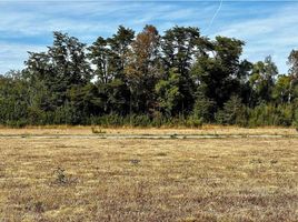  Terreno (Parcela) en venta en Araucanía, Villarrica, Cautín, Araucanía