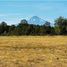  Terreno (Parcela) en venta en Araucanía, Villarrica, Cautín, Araucanía