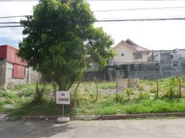  Land for sale in Paranaque City, Southern District, Paranaque City