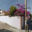 4 Schlafzimmer Villa zu verkaufen in Morelia, Michoacan, Morelia