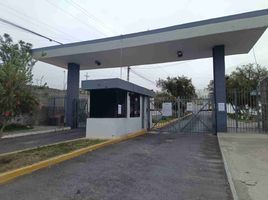  Terreno (Parcela) en venta en Bicentenario Park, Quito, Quito, Quito