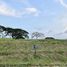  Land for sale in Calamba City, Calabarzon, Calamba City