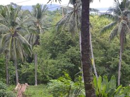  Grundstück zu verkaufen in Oriental Mindoro, Mimaropa, Puerto Galera