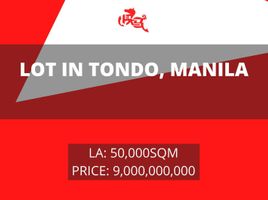  Terreno (Parcela) en venta en Tondo I / II, Metro Manila, Tondo I / II, Manila