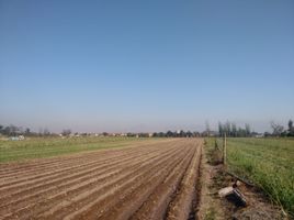  Terreno (Parcela) en venta en Cordillera, Santiago, Puente Alto, Cordillera