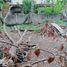  Terreno (Parcela) en venta en Compostela, Central Visayas, Compostela