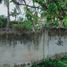  Terreno (Parcela) en venta en Compostela, Central Visayas, Compostela