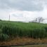  Land for sale in Calamba City, Calabarzon, Calamba City