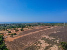  Land for sale in Dist Pochutla, Oaxaca, Dist Pochutla