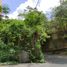  Land for sale in Cebu City, Central Visayas, Cebu City, Cebu
