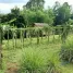 Terreno (Parcela) en venta en Balamban, Central Visayas, Balamban