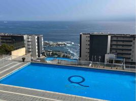 2 Habitación Departamento en alquiler en Valparaíso, Viña del Mar, Valparaíso, Valparaíso