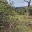 Terrain à vendre à Guarne, Antioquia, Guarne, Antioquia