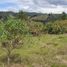Terrain à vendre à Guarne, Antioquia, Guarne, Antioquia