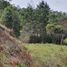 Terrain à vendre à Guarne, Antioquia, Guarne, Antioquia