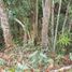 Terrain à vendre à Guarne, Antioquia, Guarne, Antioquia