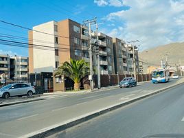 3 Bedroom Apartment for sale in Chile, Antofagasta, Antofagasta, Antofagasta, Chile