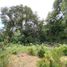  Land for sale in Chile, La Union, Ranco, Los Rios, Chile
