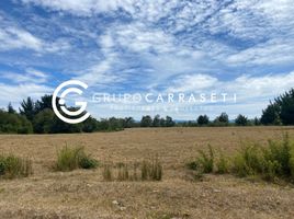  Land for sale in Chile, La Union, Ranco, Los Rios, Chile