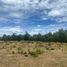  Land for sale in Chile, La Union, Ranco, Los Rios, Chile