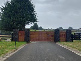  Terreno (Parcela) en venta en Llanquihue, Los Lagos, Puerto Montt, Llanquihue