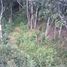  Terreno (Parcela) en venta en Llanquihue, Los Lagos, Puerto Montt, Llanquihue